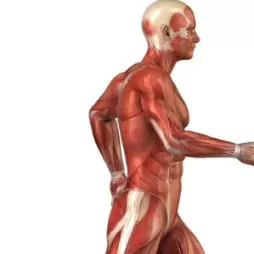 Mechanická diagnostika a terapie dle Robina Anthonyho McKenzieho