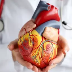Co to je perzistující foramen ovále?