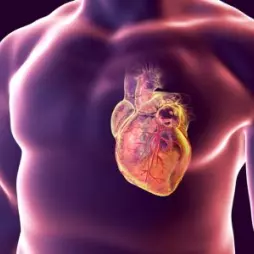 Ischemie srdeční a angina pectoris: Co potřebujete vědět o těchto srdečních onemocněních