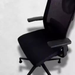 Zdravotní ergonomická židle Adaptic EASY