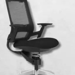 Zdravotní ergonomická židle Adaptic COMFORT