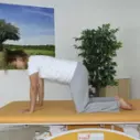 Core Training - opora na čtyřech se zúžením opory na dvě končetiny