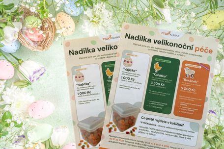 Fyzioklinika obrázek 1