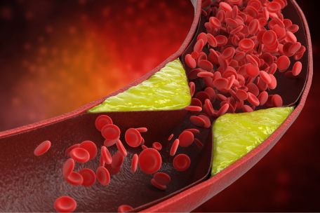Fyzioklinika obrázek 1