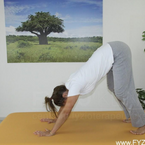 Napřímení páteře vkleče s nataženými koleny