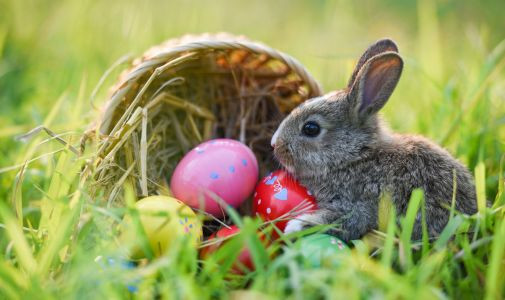 Nadílka Velikonoční péče v podobě zvýhodněných kreditů